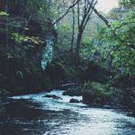 Marguerite Zulauf Profile Picture